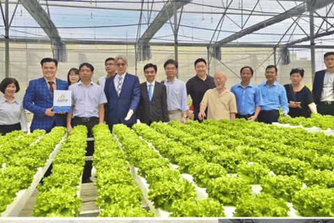 Hợp tác Việt - Hàn: Hướng đến chuyển giao ứng dụng VR trong nông nghiệp