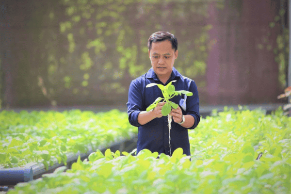 Nông nghiệp công nghệ cao dẫn dắt kinh tế xanh