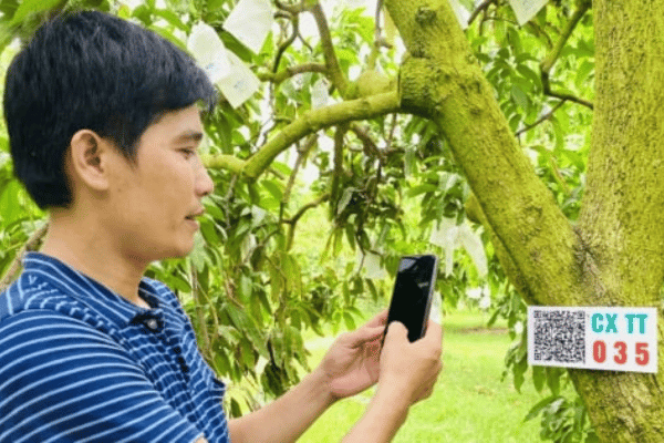 Công nghệ là chìa khóa tái cơ cấu nông nghiệp hiệu quả