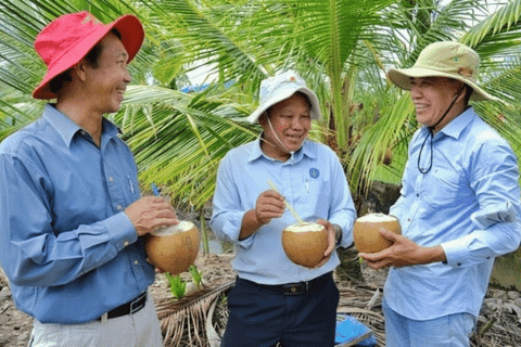 Ngành dừa còn nhiều thách thức