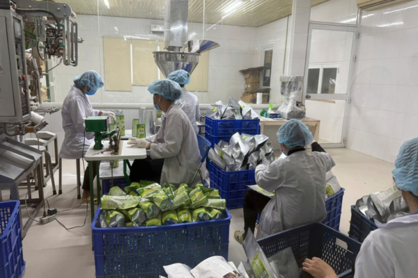 Xuất khẩu nông - lâm - thủy sản: Nhiều ngành hàng tăng tốc, mở rộng thị phần