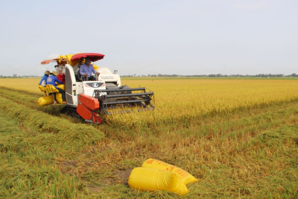 Cần có đội ngũ 