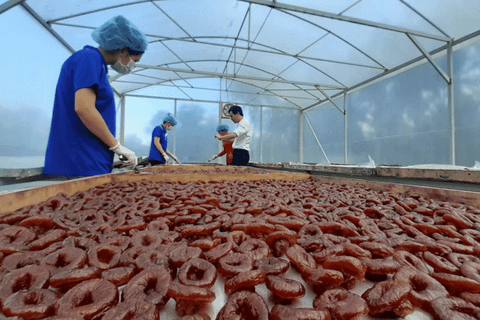 Người đưa mận trắng thành món mứt 'trứ danh' miền Tây