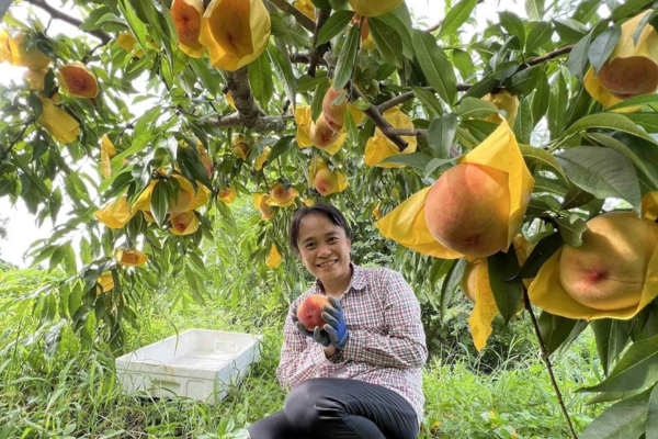 'Lá chắn' bảo vệ nông dân