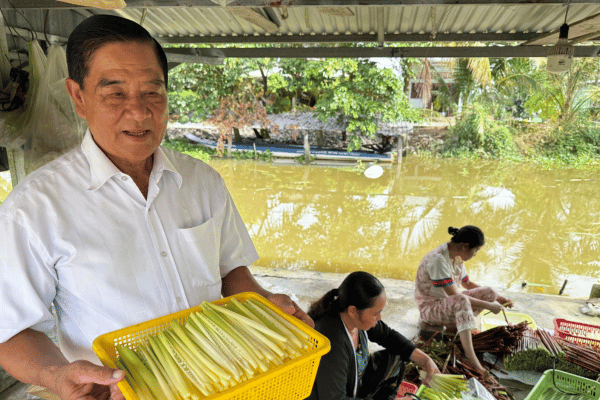 Làm giàu từ 'cỏ dại' ở vùng đất phèn mặn