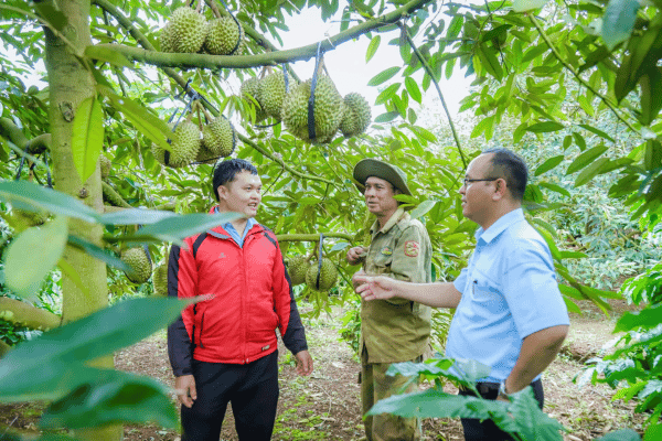 Xuất khẩu rau quả hướng đích 10 tỷ USD: Chuẩn hóa vùng trồng, chìa khóa giữ vị thế cây 'tỷ đô'