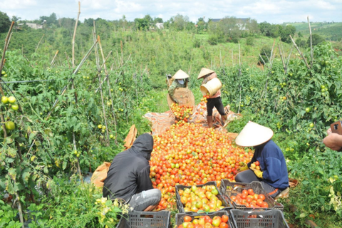 Kinh tế tuần hoàn – Giải pháp phát triển nông nghiệp bền vững