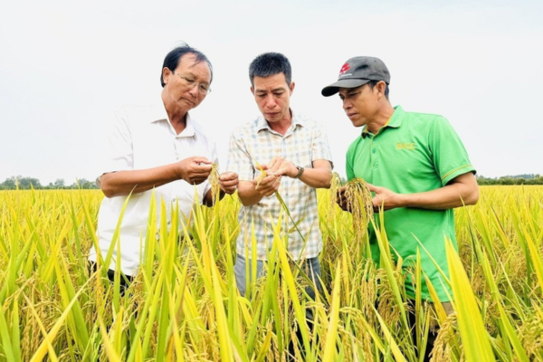 Có nhiều chính sách hỗ trợ nông dân, hợp tác xã và doanh nghiệp