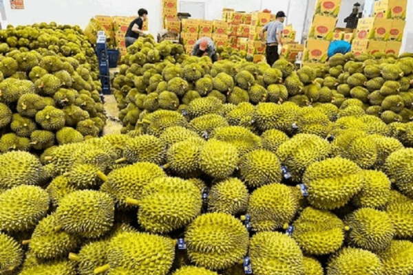 Nông nghiệp - 