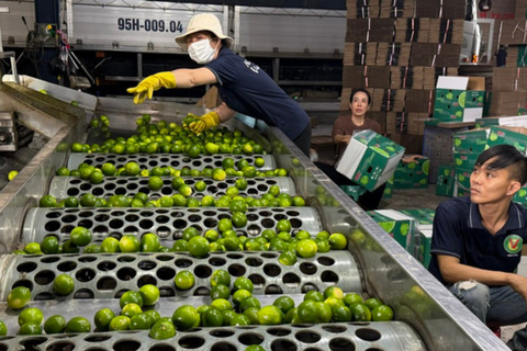 Cải thiện công nghệ bảo quản nông sản để giảm chi phí xuất khẩu