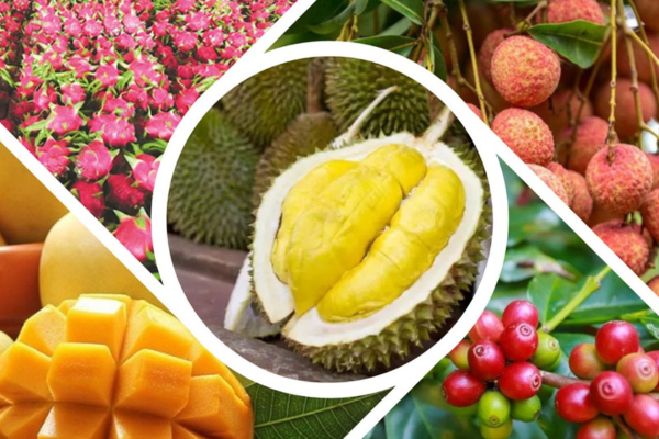 Nông sản Việt: Chuyển mình hay mãi cảnh 'nô dịch' vì tư duy bán thô?