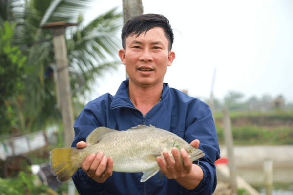 Phát triển kinh tế VAC trong kỷ nguyên xanh và tuần hoàn