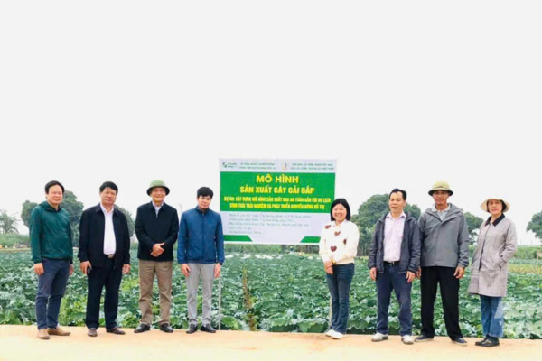 Sản xuất rau an toàn gắn với du lịch