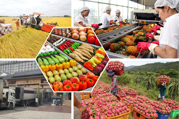 Hỗ trợ nông dân xây dựng thương hiệu, nhãn hiệu hàng hóa nông sản
