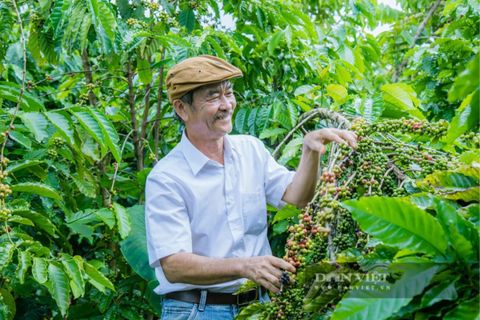 Các tiêu chuẩn hữu cơ đã có, vì sao nông sản hữu cơ vẫn khó chinh phục người tiêu dùng?