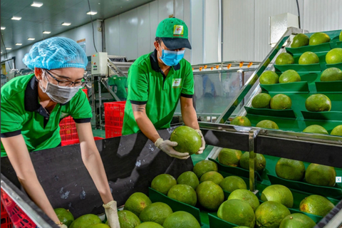 'Bỏ túi' hơn 6,5 tỉ USD từ xuất khẩu nông lâm sản