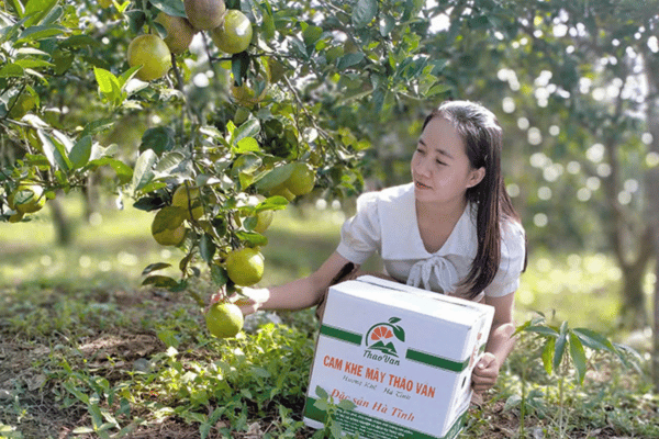 Chuyện về những đại sứ “nông dân trẻ 4.0” ở Hà Tĩnh