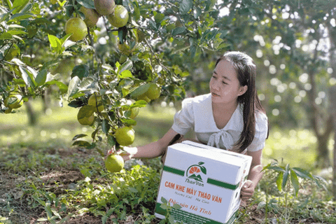 Chuyện về những đại sứ “nông dân trẻ 4.0” ở Hà Tĩnh