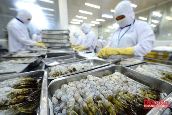 Từ “thẻ vàng” đến “thẻ xanh”: Cơ hội tái định vị ngành thủy sản