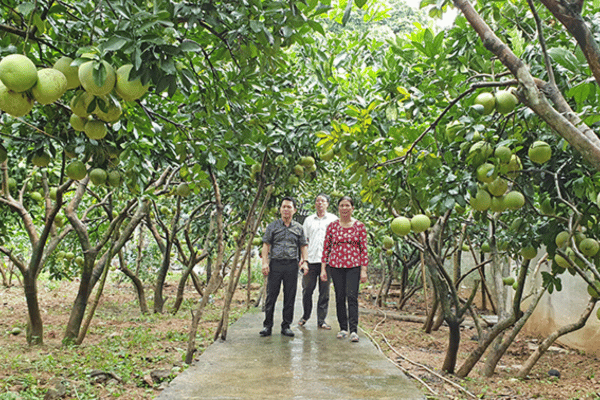 Vườn mẫu nông thôn mới: Nền tảng xây dựng nông thôn văn minh, hiện đại