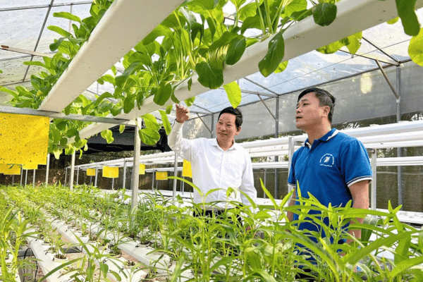 Khơi thông dòng chảy tài chính xanh vào nông nghiệp