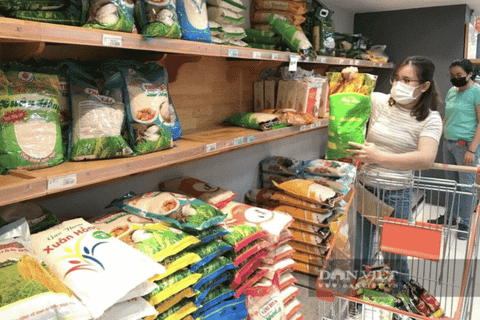 Doanh nghiệp lương thực thực phẩm gồng mình giữ giá, cuộc đua nguyên liệu âm thầm định hình lại thị trường