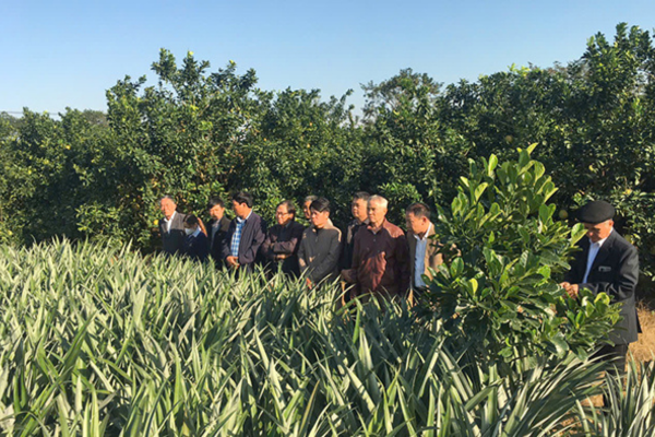 Nâng tầm kinh tế VAC thông qua hợp tác quốc tế