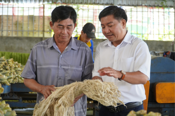 'Đổi đời' cho lá khóm, nông dân miền Tây có thêm thu nhập