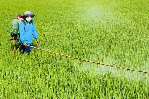 Lên lộ trình cấm thuốc trừ sâu ở Việt Nam