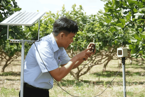 50% trang trại, HTX ở Cần Thơ sẽ ứng dụng nền tảng số vào năm 2030