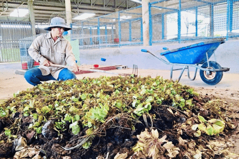 Sản xuất nông nghiệp xanh: Cần tăng tỷ lệ sử dụng phân bón hữu cơ