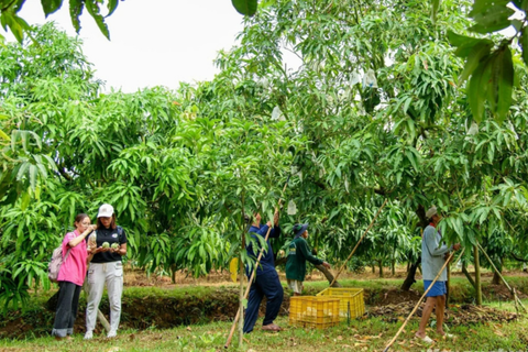 Nông nghiệp sinh thái mở đường tăng trưởng xanh