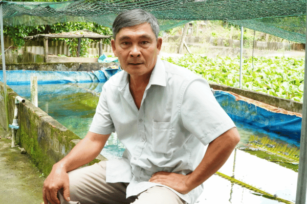 Làm giàu từ mô hình nuôi ba ba kết hợp trồng lúa và sầu riêng