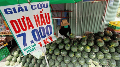 Cần giải pháp giảm 'giải cứu' nông sản