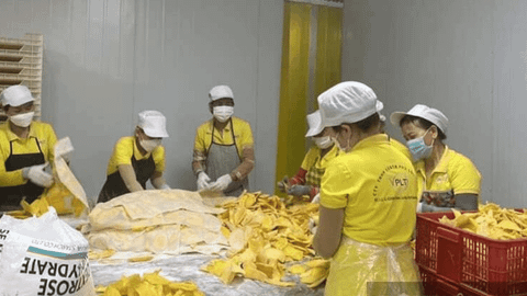 Từ trái xoài, trái mít tươi dễ rớt giá, nông sản Đồng Nai bước vào chuỗi chế biến sâu để chinh phục thị trường