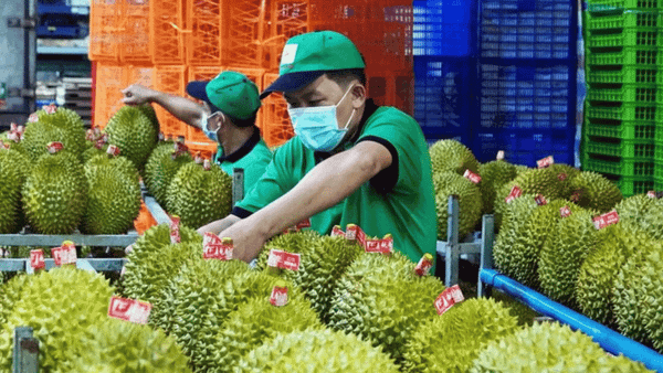 Doanh nghiệp nông sản vào “đường băng” tăng trưởng mới năm 2026