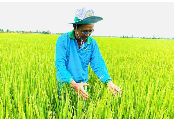 Doanh nghiệp và địa phương đồng lòng triển khai Đề án trồng trọt giảm phát thải