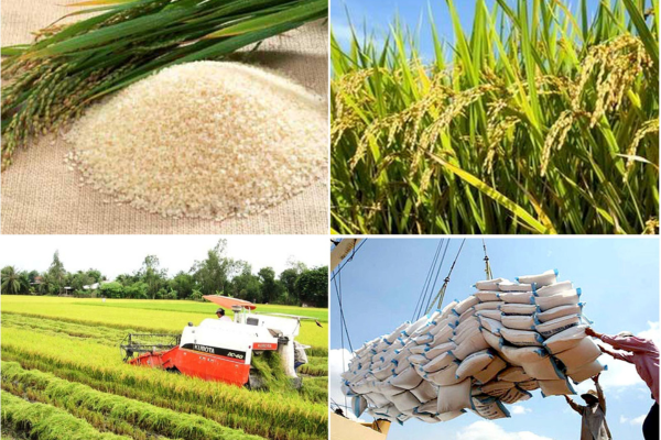 Vượt rào cản, đưa hàng Việt vào thị trường Halal rộng lớn