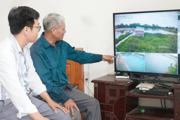 Nuôi cá nhàn tênh nhờ ‘bắt nhịp’ công nghệ số