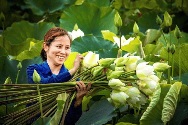 OCOP gắn với du lịch làng nghề mở rộng sinh kế cho người dân