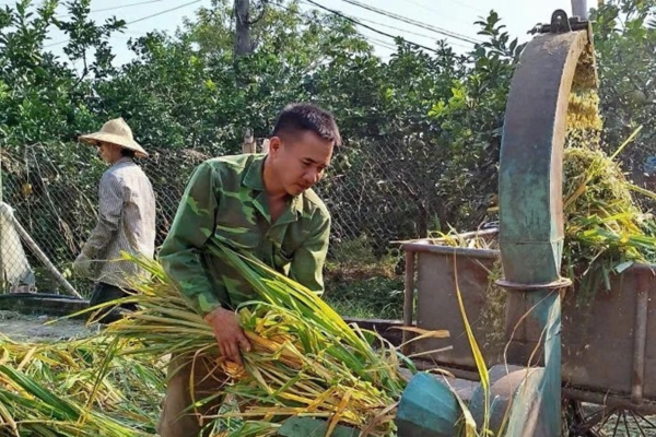 Nông dân chủ động thích ứng - chìa khóa để nông nghiệp phát triển bền vững