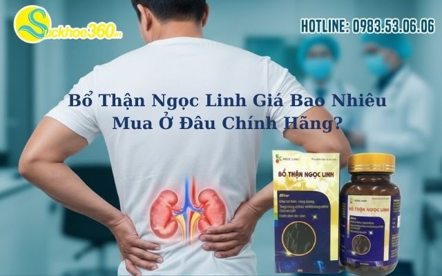 Bổ Thận Ngọc Linh Giá Bao Nhiêu Mua Ở Đâu Chính Hãng?