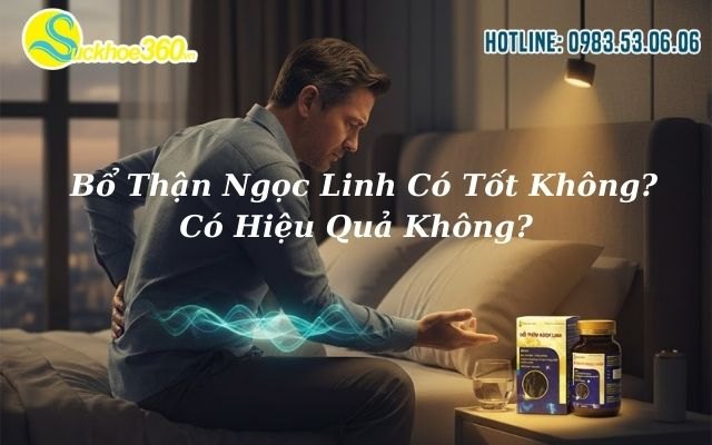 Bổ Thận Ngọc Linh Có Tốt Không? Có Hiệu Quả Không?