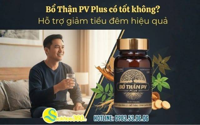 Bổ Thận PV Plus có tốt không? Hỗ trợ giảm tiểu đêm hiệu quả