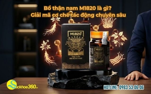 Bổ thận nam M1820 là gì? Giải mã cơ chế tác động chuyên sâu