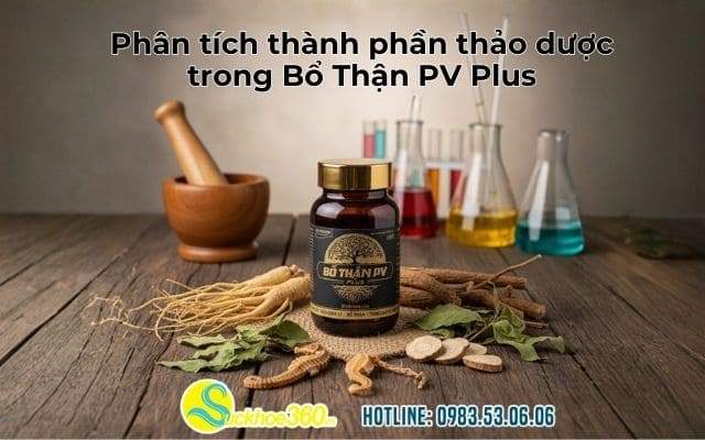 Phân tích thành phần thảo dược trong Bổ Thận PV Plus