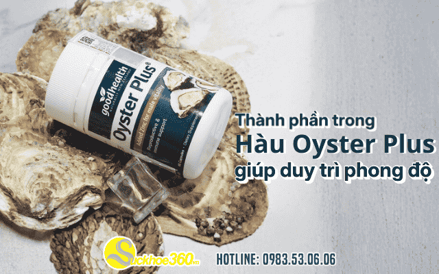 Thành phần trong Hàu Oyster Plus giúp duy trì phong độ