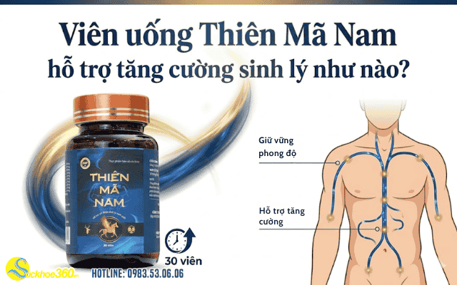 Viên uống Thiên Mã Nam hỗ trợ tăng cường sinh lý như nào?
