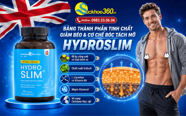 Bảng thành phần tinh chất giảm béo và cơ chế bóc tách mỡ của HydroSlim