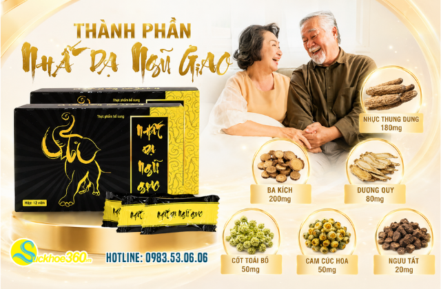 Thành phần Kẹo Đổi Gió Nhất Dạ Ngũ Giao
